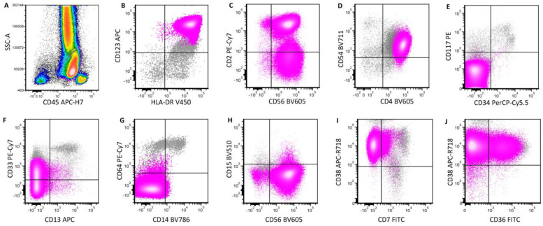 New Series by Nico Gagelmann: Rarity in Hematology - BPDCN