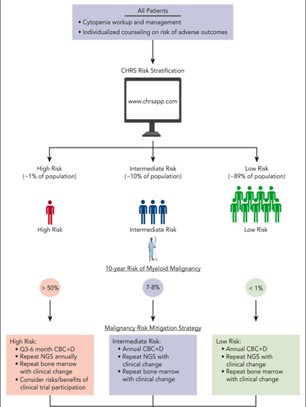Talha Badar: Brief Thread on Clonal Hematopoiesis