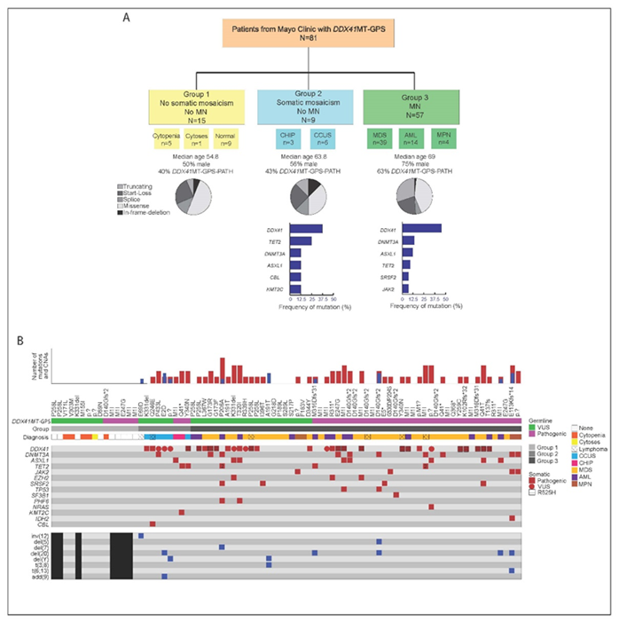 Talha Badar: Brief Thread on Clonal Hematopoiesis
