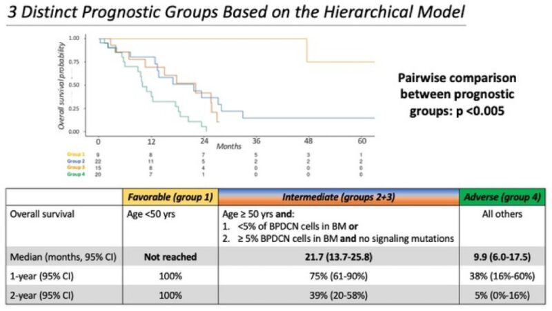 New Series by Nico Gagelmann: Rarity in Hematology - BPDCN