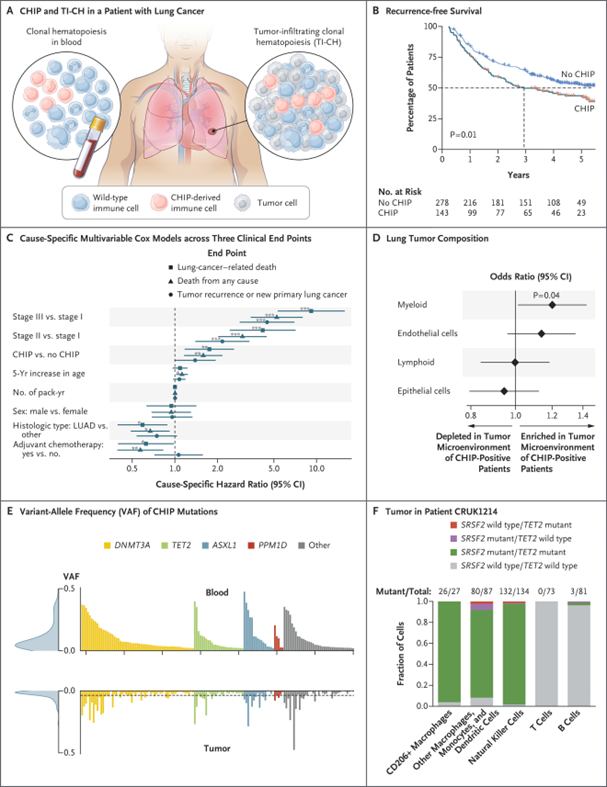 Talha Badar: Brief Thread on Clonal Hematopoiesis