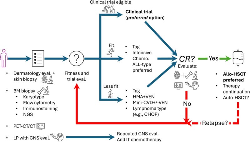 New Series by Nico Gagelmann: Rarity in Hematology - BPDCN