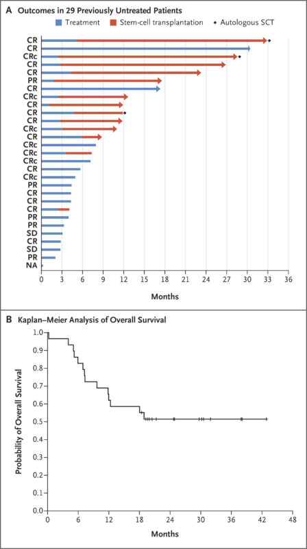 New Series by Nico Gagelmann: Rarity in Hematology - BPDCN