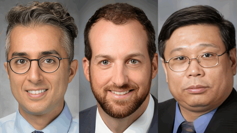 How Cancer-Induced Nerve Injury Contributes to Immunotherapy Resistance – MD Anderson Cancer Center