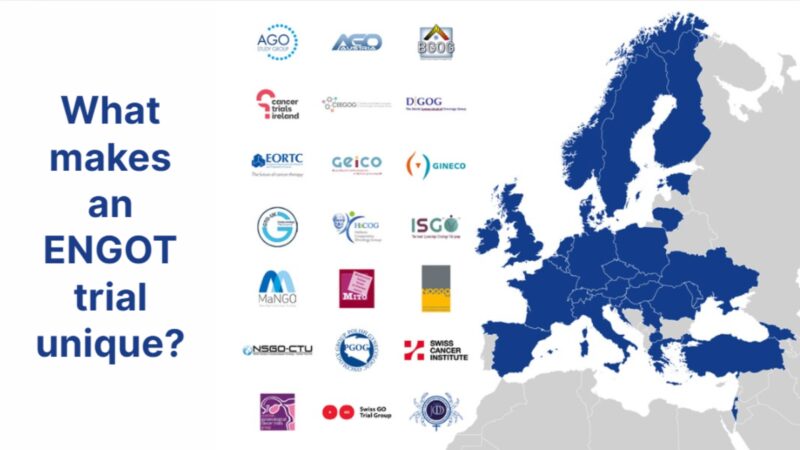 From Start to Finish, it’s About Collaboration – ENGOT