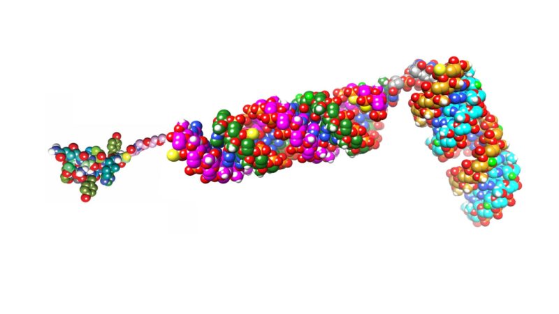 Chad Pecot: Development of the First Dual KRAS+MYC Inhibitor