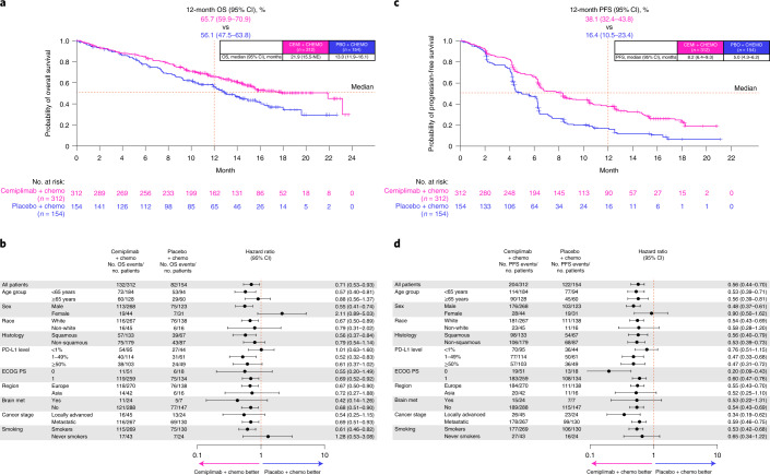 EMPOWER-Lung 3 results