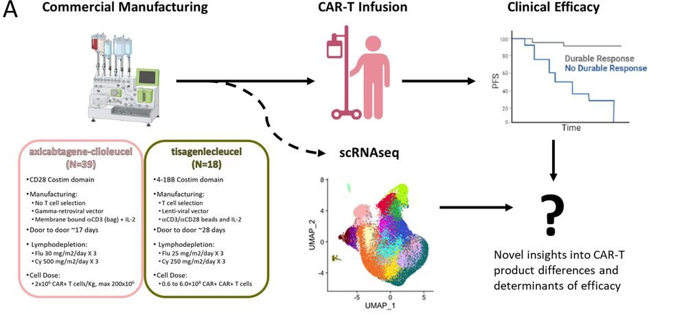 10 Must-Read Posts in Immuno-Oncology This Week