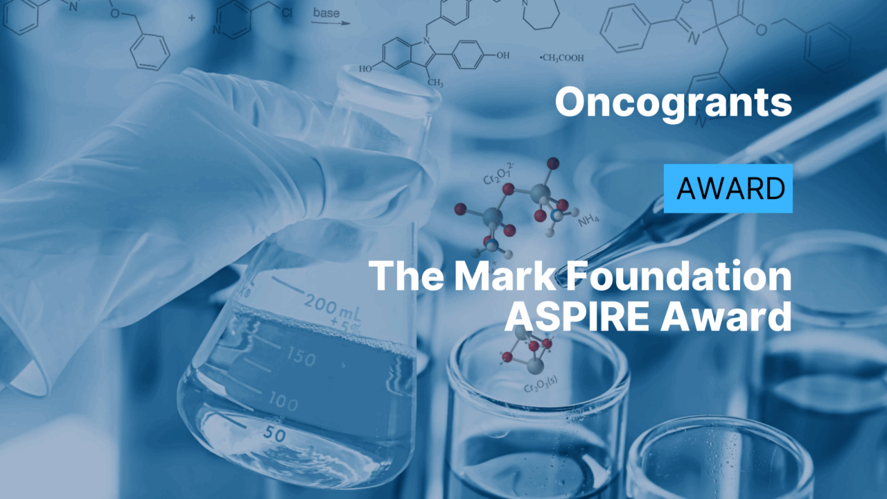 The Mark Foundation ASPIRE Award