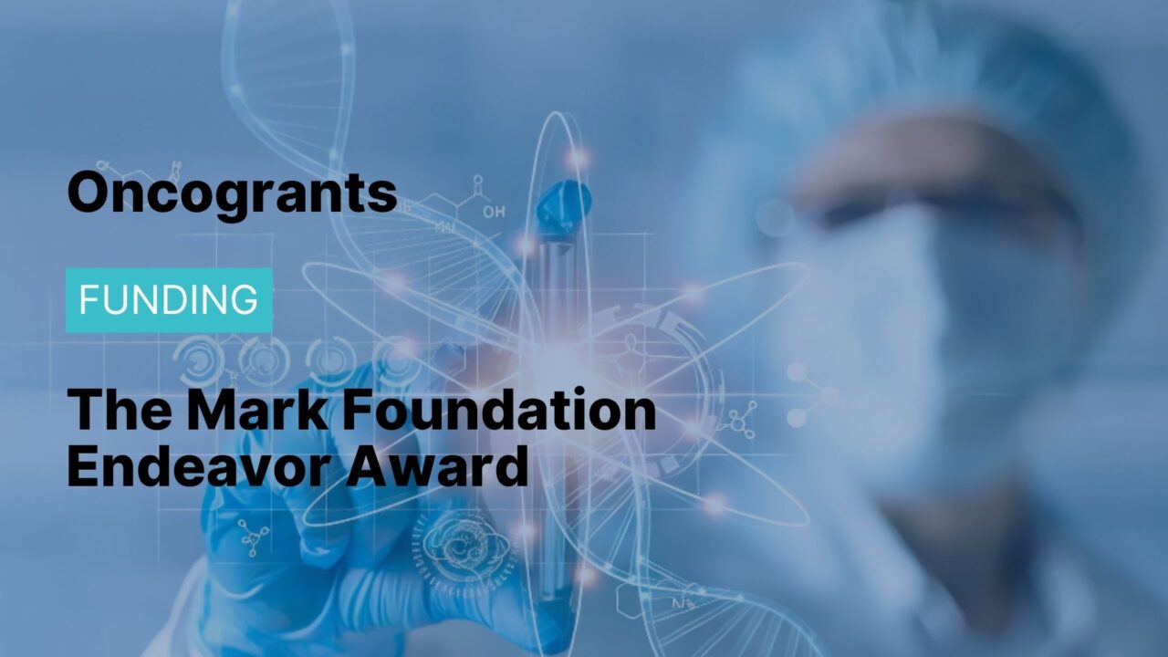 The Mark Foundation Endeavor Award