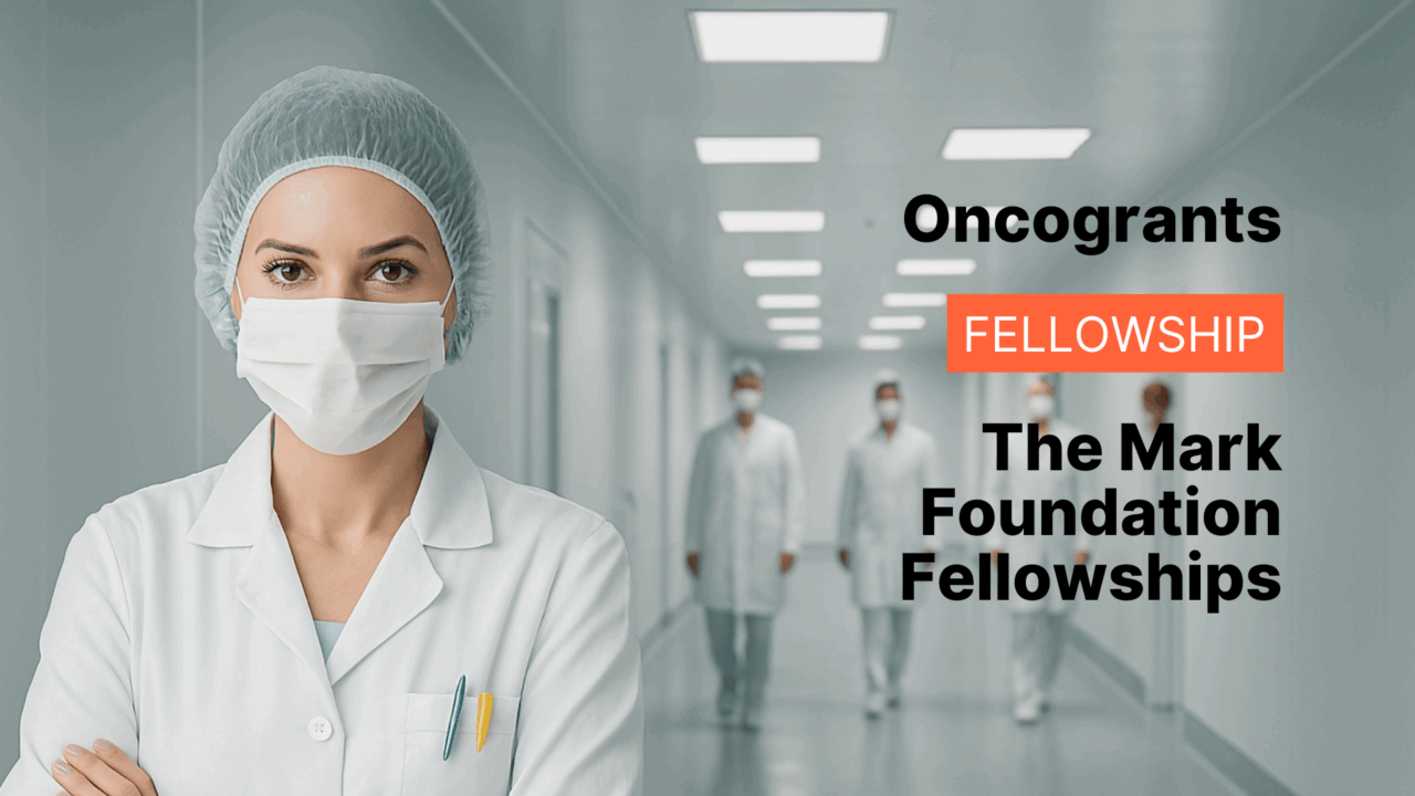 The Mark Foundation Fellowships (Momentum and Postdoctoral)