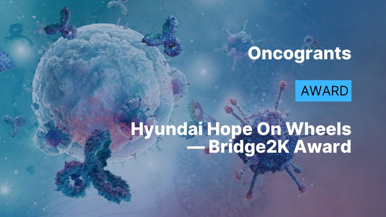 Hyundai Hope On Wheels — Bridge2K Award