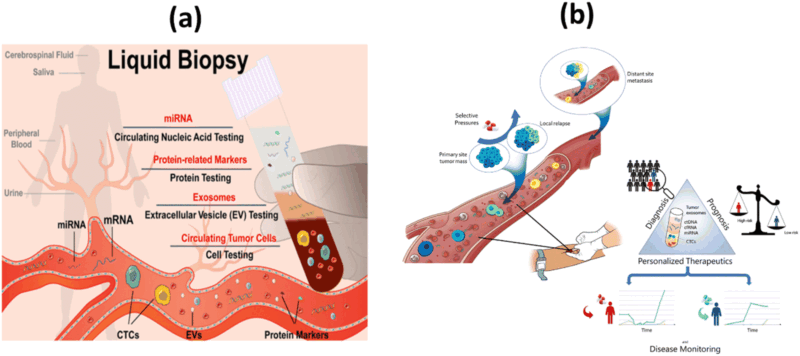 Liquid Biopsy 