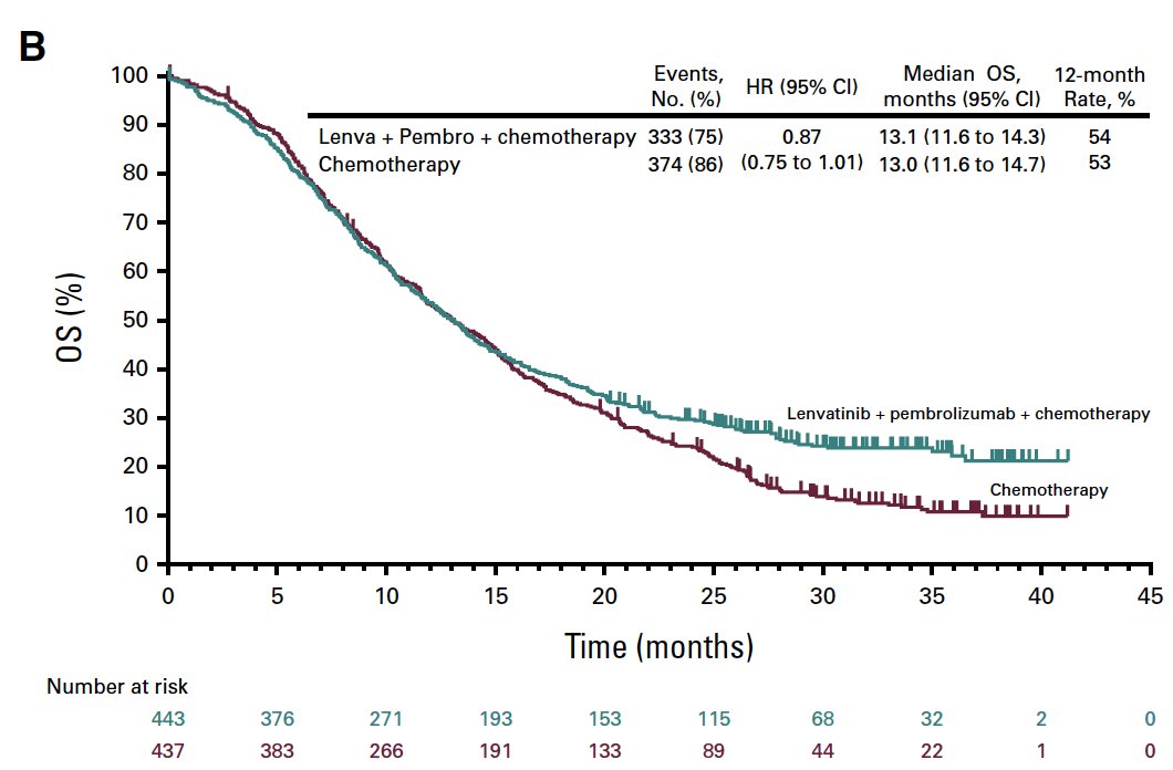 immuno-oncology