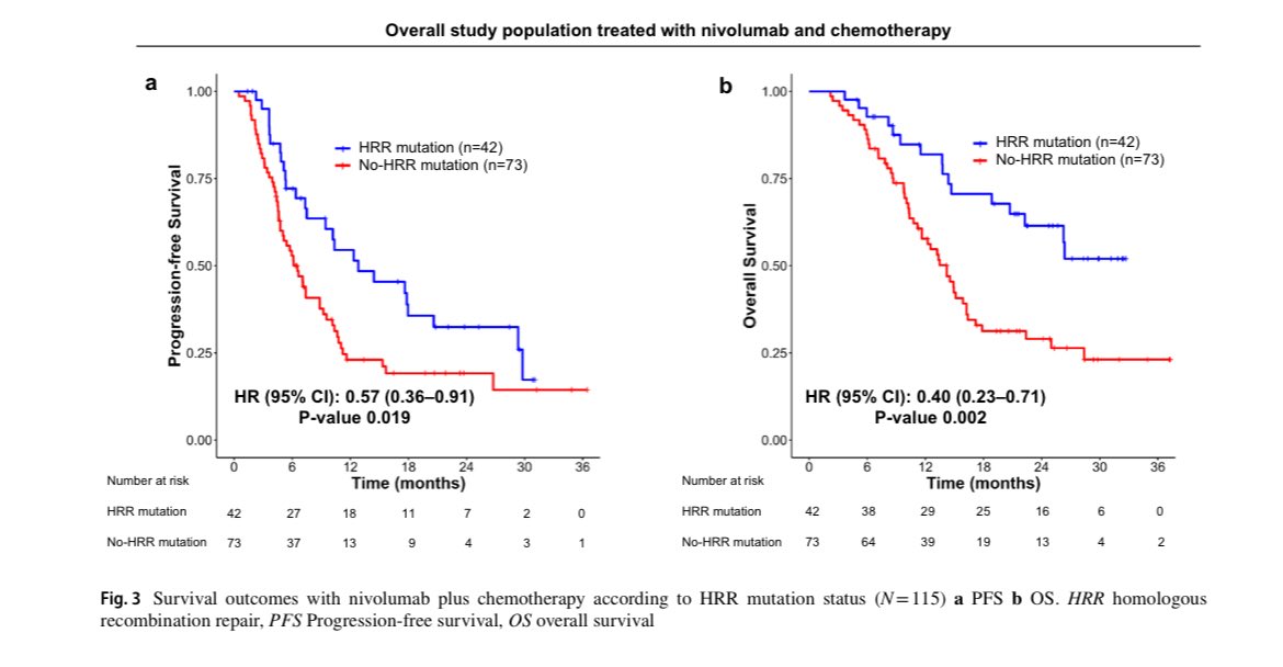 immuno-oncology