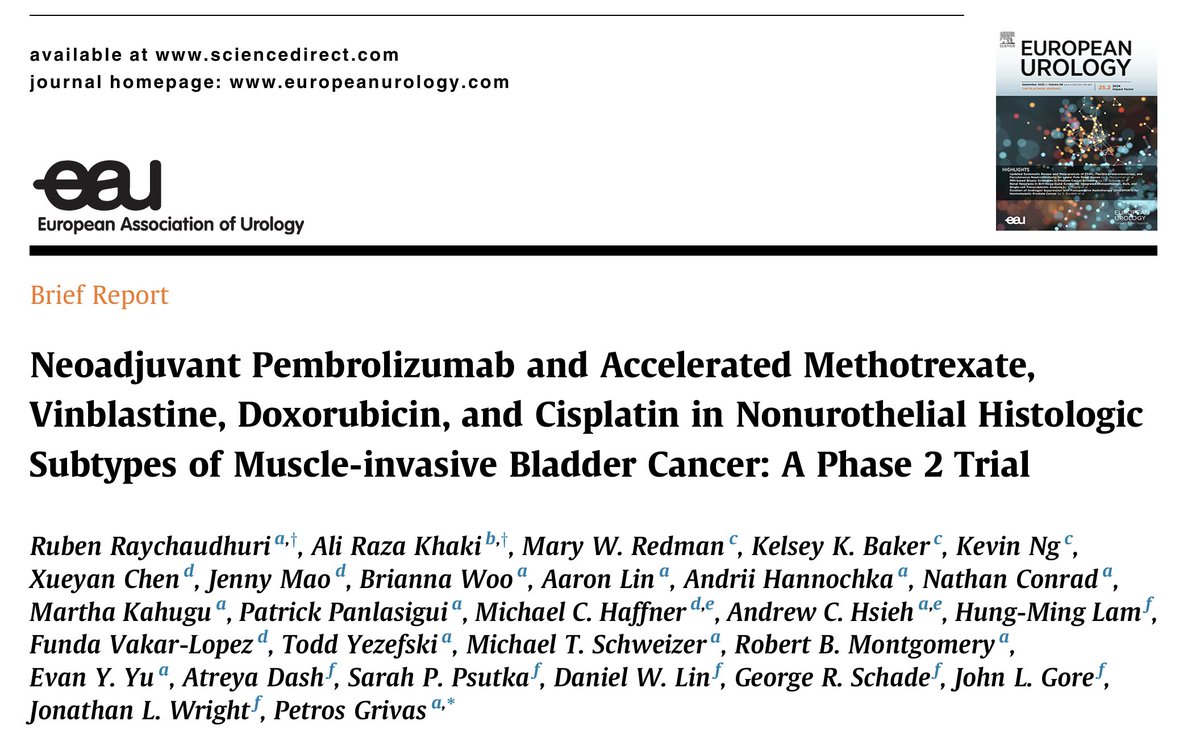 immuno-oncology