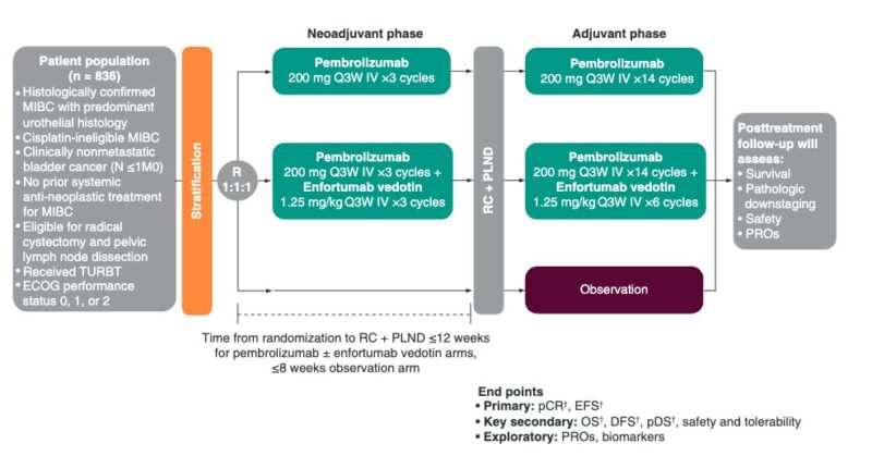 Pembrolizumab 