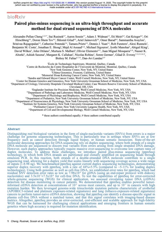 Bishoy Morris Faltas: Paired Plus-Minus Sequencing for Accurate Dual-Strand DNA Analysis