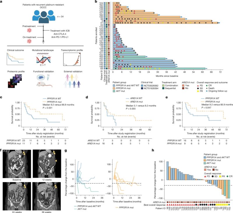 Immuno-Oncology
