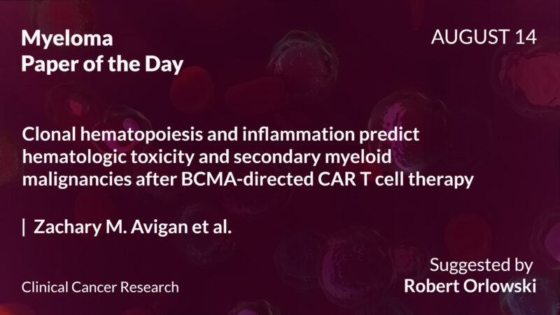 Myeloma Paper of the Day, August 14th, Suggested by Robert Orlowski