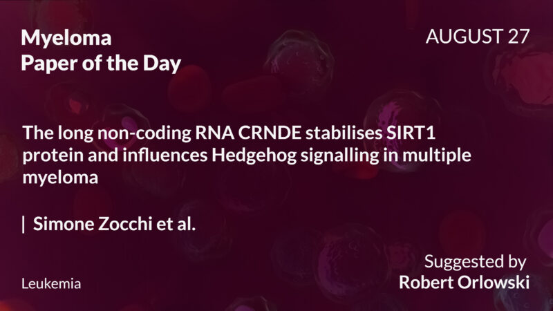 Myeloma Paper of the Day, August 27th, Suggested by Robert Orlowski