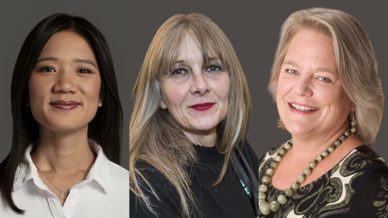 Real Stories. Real Impact – Blue Faery