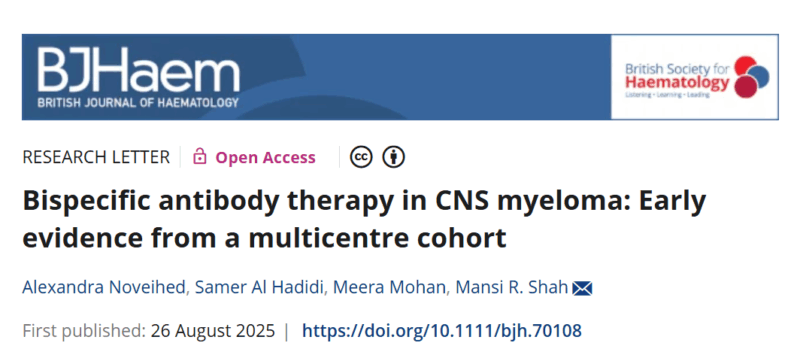 Bispecific antibody therapy