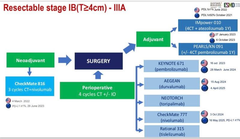 David Planchard Shared Highlights from ESMO Academy 2025