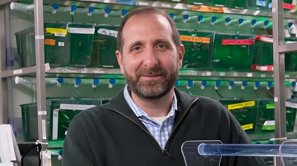 Richard White: What Triggers Changes in Cancer Cell State?