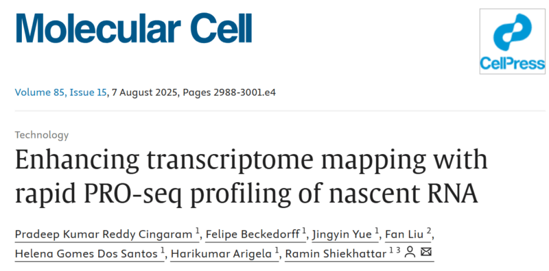 Sylvester Researchers Uncover Molecular Drivers of Cellular Differentiation