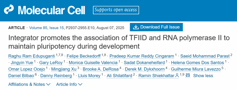 Sylvester Researchers Uncover Molecular Drivers of Cellular Differentiation