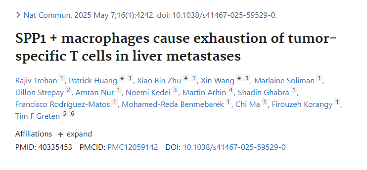 Liver Metastases