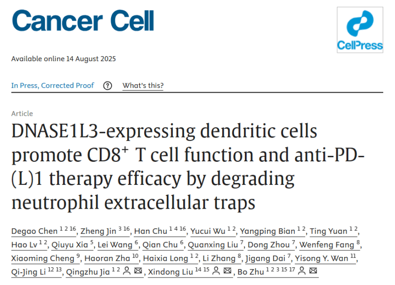 Nicholas DeVito: Understanding Dendritic Cells to Improve Cancer Immunotherapy