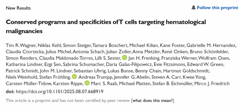 Mirco Julian Friedrich: Conserved Programs and Specificities of T Cells Targeting Hematological Malignancies