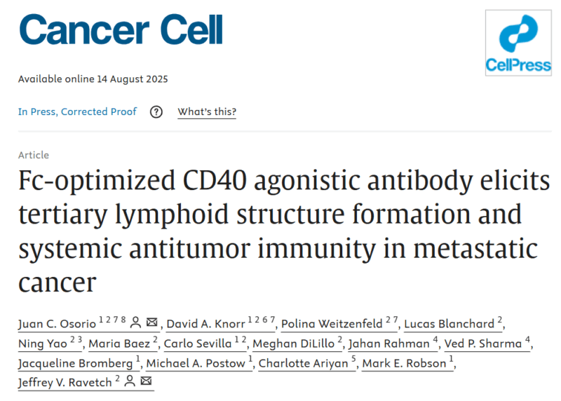 Susanna Fletcher Greer: Bold Research on CD40 Immunotherapy Shows Promising Results