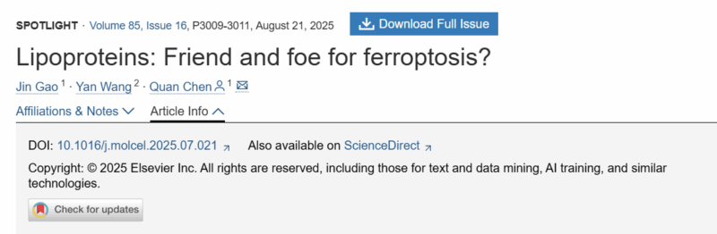 Top Articles