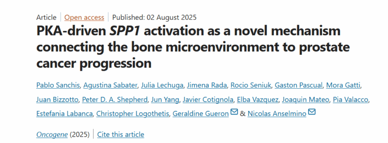Pablo Sanchis: How the Bone Tumor Microenvironment Drives Osteopontin Expression in Metastatic Prostate Cancer
