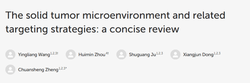 Hung Trinh: The Solid Tumor Microenvironment and Related Targeting Strategies