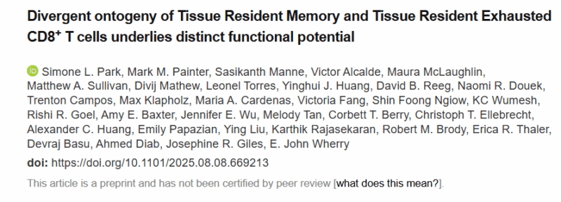 E. John Wherry: What's the Difference Between Trm and Exhausted CD8 T cells?