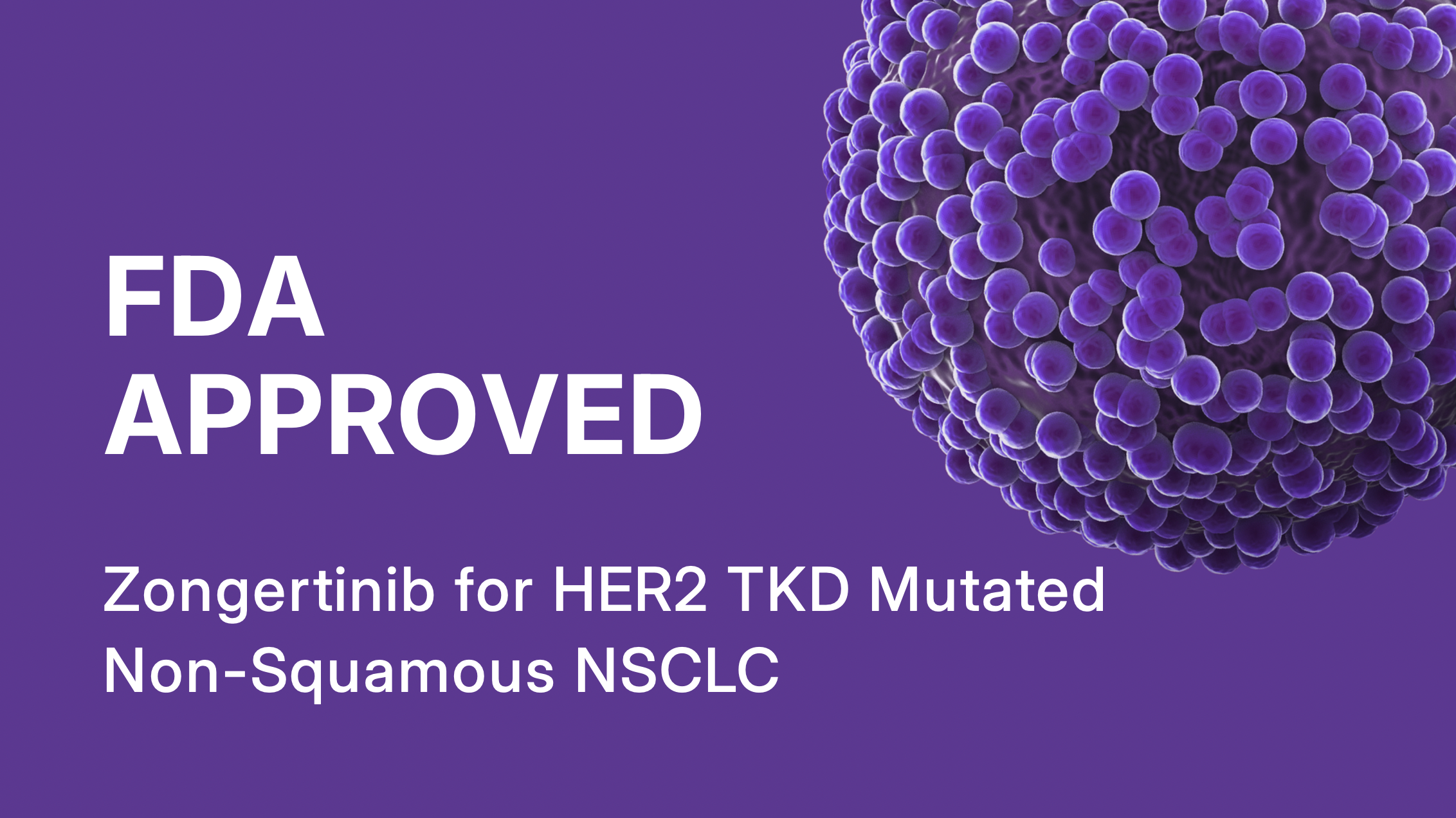 FDA Grants Accelerated Approval to Zongertinib for HER2 TKD Mutated Non-Squamous NSCLC