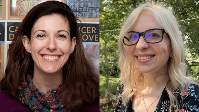 Elizabeth McKenna: Effects of Sucralose Consumption on the Efficacy of Cancer Immunotherapy by Kristin Morder et al