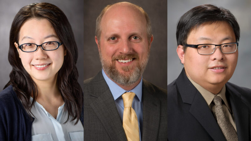 MD Anderson Research Highlights