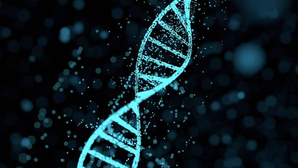 NIH Researchers Create Algorithm to Detect Somatic Structural Variation in Cancer Genomes Using Long-Read Sequencing