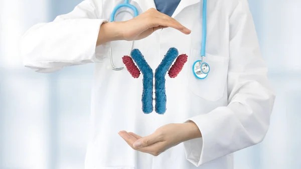 What is the Main Characteristic of Monoclonal Antibodies? – Servier