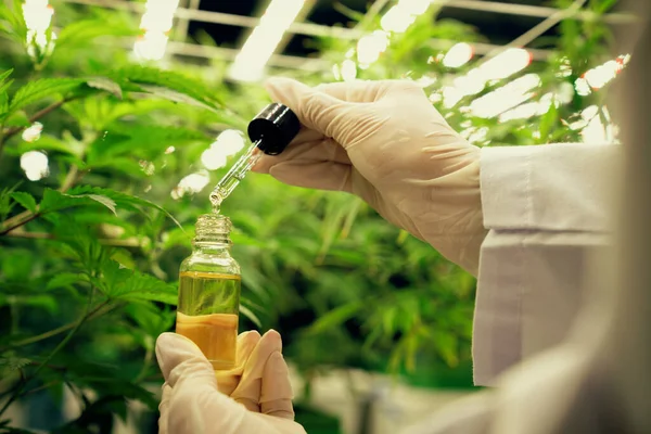 Colorectal cancer and cannabis