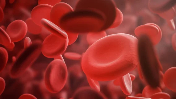 Audrey O’Halloran: Registration is Open for Fundamentals in Haematology Education Course 2025