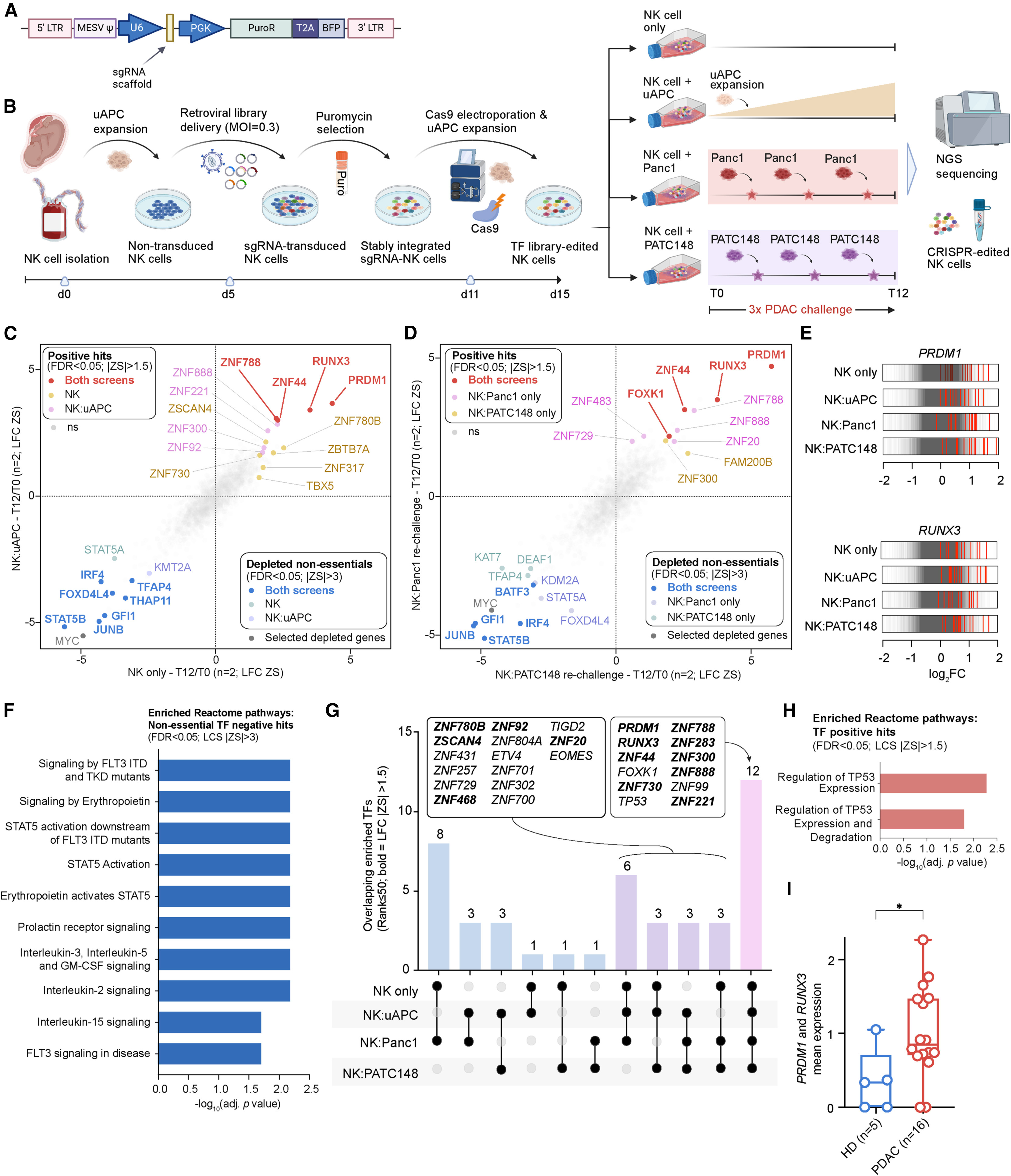 CRISPR