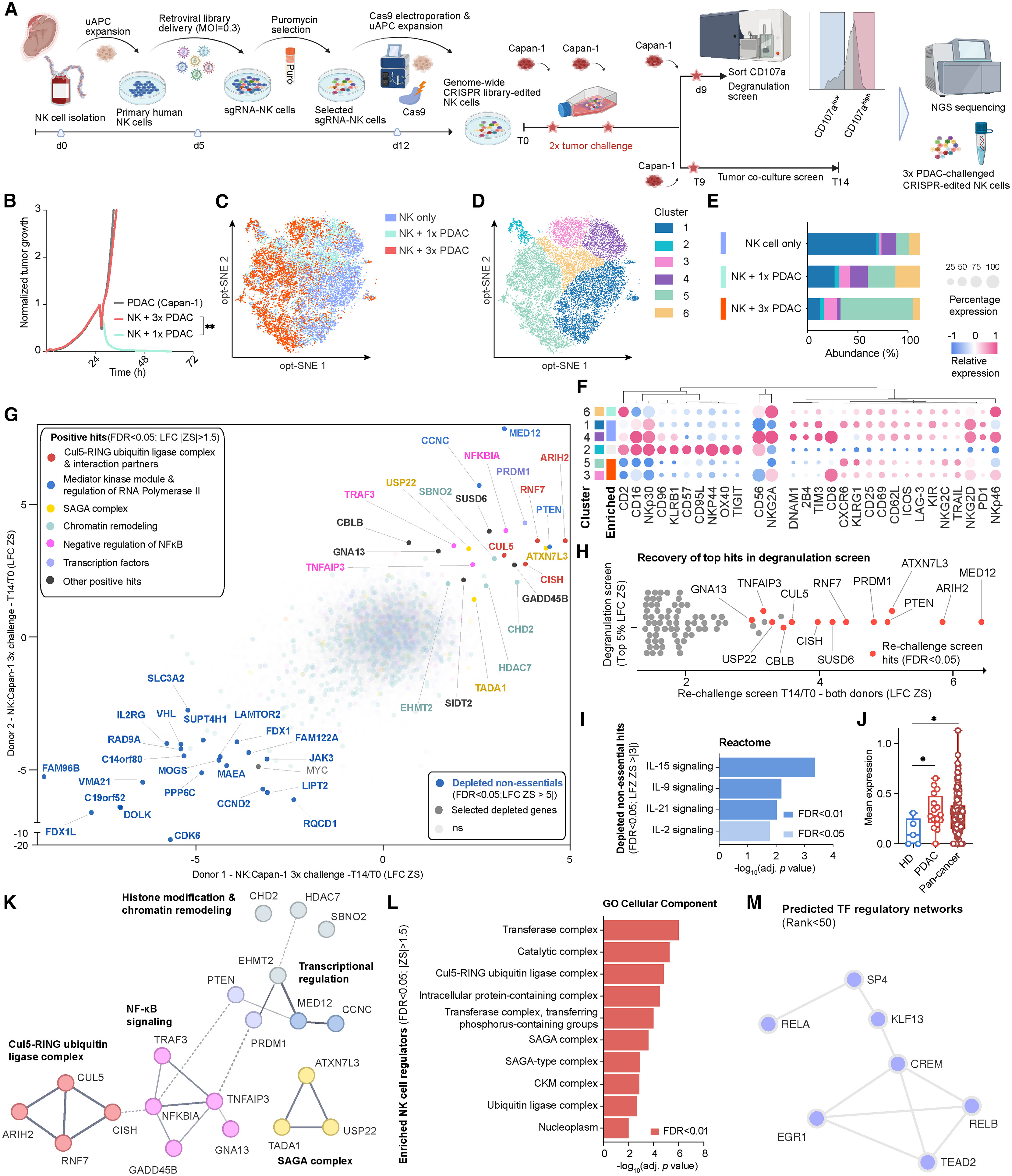 CRISPR 