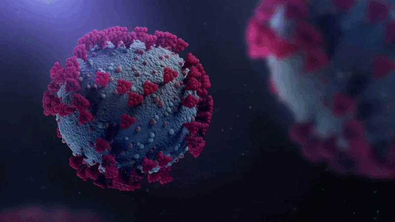 St Jude Study Finds Inactive H5N1 in Milk Poses Minimal Risk