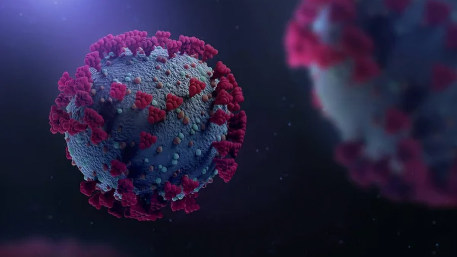 George Kumar Shares Research Showing Respiratory Viruses Awaken Dormant Breast Cancer Cells